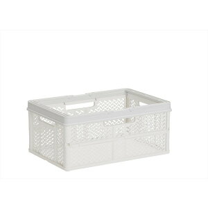 Vn PRX ܂肽݃oXPbg nht M X[L[zCg