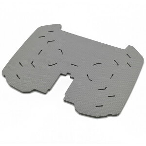 fCgi D22128 GIVI (Wr) mbNP[X Ci[{g}bg PB42N B42p