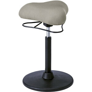 {쏊 CH-800H LGY v|[VXc[ CgO[ [J[