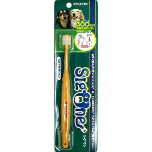 yGg[P5{!2020:00-271:59z roebN VO ^puV