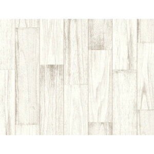 aOrA REN-02 yL mxV[g AC{[ [45cm×180cm] V