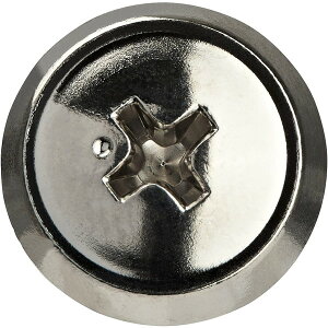 StarTech CABSCRWS1224 �V���o�[ 12-24 ���b�N�}�E���g�l�W 50����p�b�N �j�b�P�����b�L �T�[�o�[���b�N/�L���r�l�b�g�p�l�W