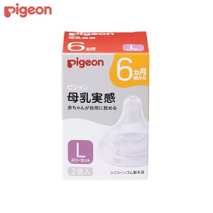 sW   6J L pigeon