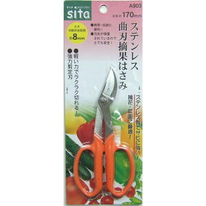 OR[|[V A904 SITA K[fjOnT~X #905004