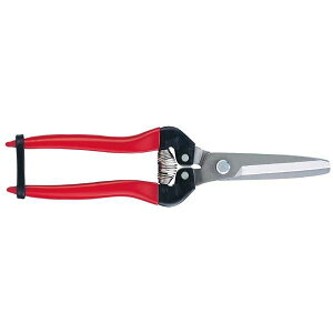 AX AX 300LW-DX-BP ؉ ЍLXe