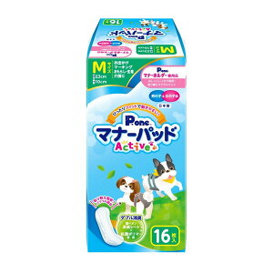 q j̎q&̎qp}i[pbhActive M 16