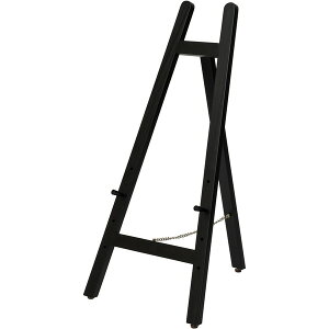 ���J GT-670BK �u���b�N �C�[�[��