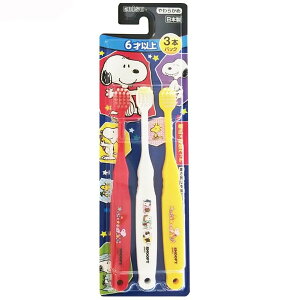 yGg[P5{!2020:00-271:59z GrX B-6362 quV Xk[s[ 6ˈȏ 3{pbN 炩