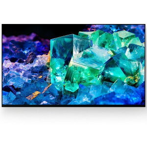 �e���r 55�^ �\�j�[ SONY BRAVIA A95K XRJ-55A95K 55V�^ 55�C���` �n��EBS�E110�xCS�f�W�^�� 4K�`���[�i�[���� �L�@EL�e���r �G�N�v�����I