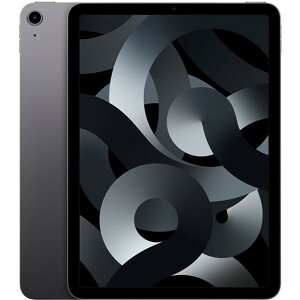 APPLE MM9L3J/A �X�y�[�X�O���C iPad Air(��5����) [�^�u���b�gPC 10.9�^ / iOS / Wi-Fi���f�� / 256GB]