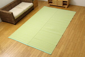 1090030121102 􂦂 PPJ[ybg oJ O[ ]ˊ4.5 261×261cm CPqRER[|[V [J[