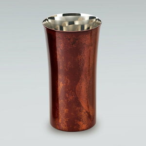 yGg[P5{!2020:00-271:59z ATq SCS-S502 (V[}) {hVOJbvSTCY 1q Ԏ