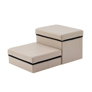 ACXI[} ybgXebv P-STP x[W [J[