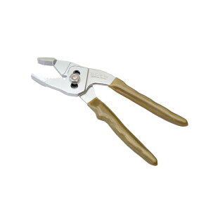 yGg[P5{!2020:00-271:59z ܏\vC[ SF-165 IPS TOJIv gK[