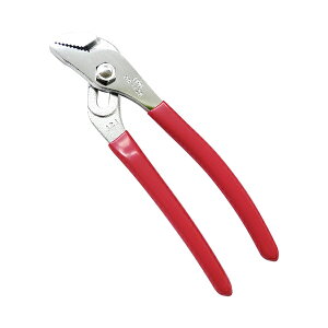 yGg[P5{!2020:00-271:59z ܏\vC[ GR-125 IPS atWPvC[