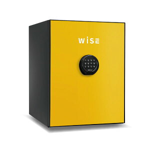 y Jݒu z  ω΋ WiSE CG[ F wF A[t 1ԑω  CeA [ ZLeB ƒ e36L 60kg WS500ALY diplomat [J[