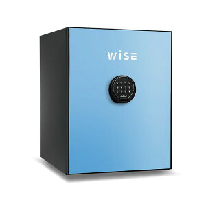 y Jݒu z  ω΋ WiSE u[ F wF A[t 1ԑω  CeA [ ZLeB ƒ e36L 60kg WS500ALB diplomat [J[