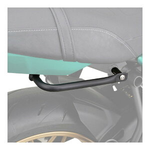 D32489 �A�V�X�g�O���b�v Z650RS(22) �E����p �f�C�g�i