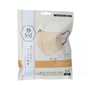 (SAI)̃}XN 10 x[W×C ӂTCY 