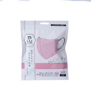  (SAI)̃}XN 10 sN×O[ ӂTCY