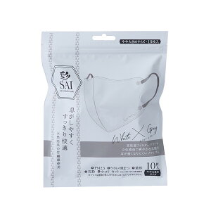 (SAI)̃}XN 10 zCg×O[ 傫 