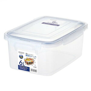 R X}[gbN W{P[X 6.0L H