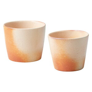 ΐF ꂱJbv Sk-6.7p MyāqScarletr