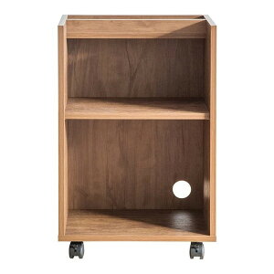 560208005 bN DSR-001 uE {쏊 [J[