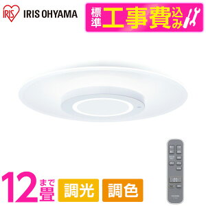 �A�C���X�I�[���} CEA-A12DLP �W���ݒu�H���Z�b�g [LED�V�[�����O���C�g �p�l�����C�g 12��] ���[�J�[���� ���r���[CP300