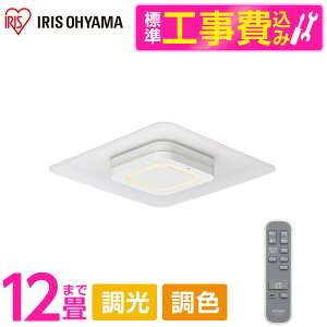 �A�C���X�I�[���} CEA-A12DLPS �W���ݒu�H���Z�b�g [LED�V�[�����O���C�g �p�l�����C�g�X�N�G�A 12��] ���[�J�[���� ���r���[CP300