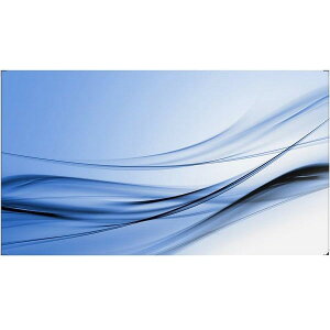 55BDL3207X/11 PHILIPS [55^tfBXvC (rfIEH[p)]