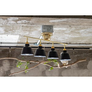 TC-1005-KORAT BS/BK 4X|bgCg Rbg uX/ubN gram8 [J[