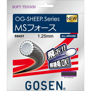 S[Z \tgejXp Kbg I[W[EV[v MStH[X fB[vubN 1.25mm SS431DBK GOSEN