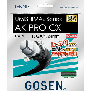 �S�[�Z�� �d���e�j�X�p �K�b�g �E�~�V�} AK�v��CX 17 1.24mm TS761BKS GOSEN