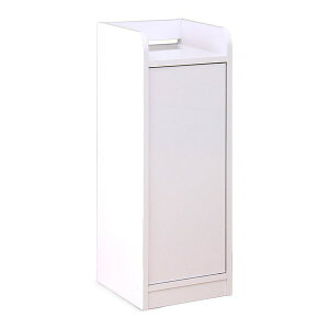 NVI ʃf[bN X zCg 21329 g [J[