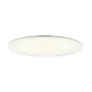 LSEB5722LE1 PANASONIC [�V�䖄���^ LED(�����F) �_�E�����C�g ��^8H�E���C��SB�`�E�r�[���p24�x�E�W���^�C�v ��������100 110V�_�C�N�[���d��100�`1������]