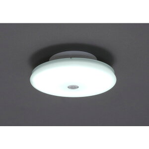 SCL12DMS-UU ACXI[} [^LEDV[OCg ` 1200lm (F) lZT[t] [J[