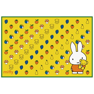 VS1 ~btB[ XP[^[ W[V[g 60×90cm  lp