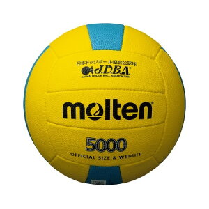 �����e�� �h�b�W�{�[��5000 D3C5000-YC �����e��