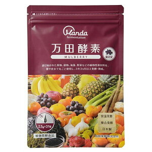 MULBERRY^Cv2.5g×31 cy