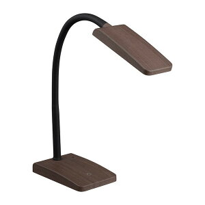 DS-LS20-T I[d@ uEؖڒ [LEDfXNCg F]