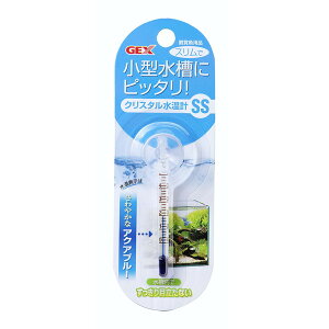 WFbNX GEX NX^v SS Ϗ܋pi |p