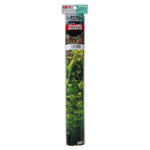 yGg[P5{!2020:00-271:59z WFbNX GX[11 obNXN[60ʐ^tn Ϗ܋pi