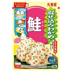 ۔HiH ۔ ݂킩  29G ×10 [J[ v[g Mtg