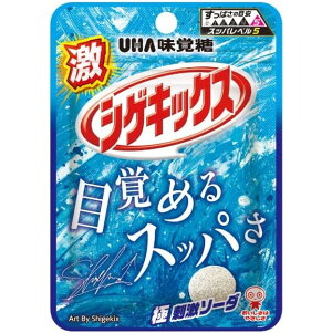味覚糖 激シゲキックス 極刺激ソーダ 20g ×10 メーカー直送 ギフト プレゼント