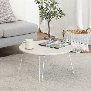 yGg[P5{!2020:00-271:59z e[u [e[u ܂肽 ی` ~` 60cm RpNg Vv zCg 