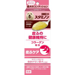 `CXvX X^~m ӃPA 40g A[XEybg