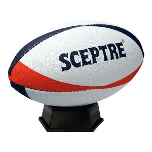 �Z�v�^�[ ���O�r�[ �{�[�� �J���[�T�C���{�[�� (��t��) SP67 SCEPTRE �l�C�r�[×���b�h