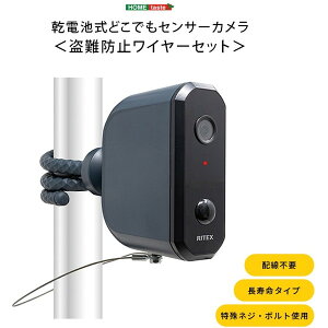 SH-17-ML17 drǂłZT[J h~C[Zbg TU z[eCXg ^[RCYu[ [J[