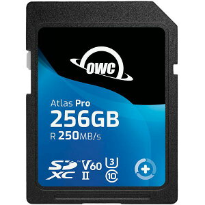 OWCSDV60P0256 OWC Atlas Pro SD 256GB